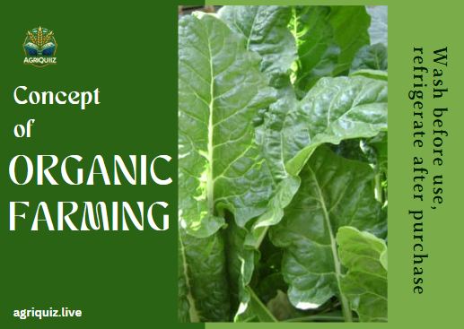 Organic Farming: A Sustainable Approach to Agriculture