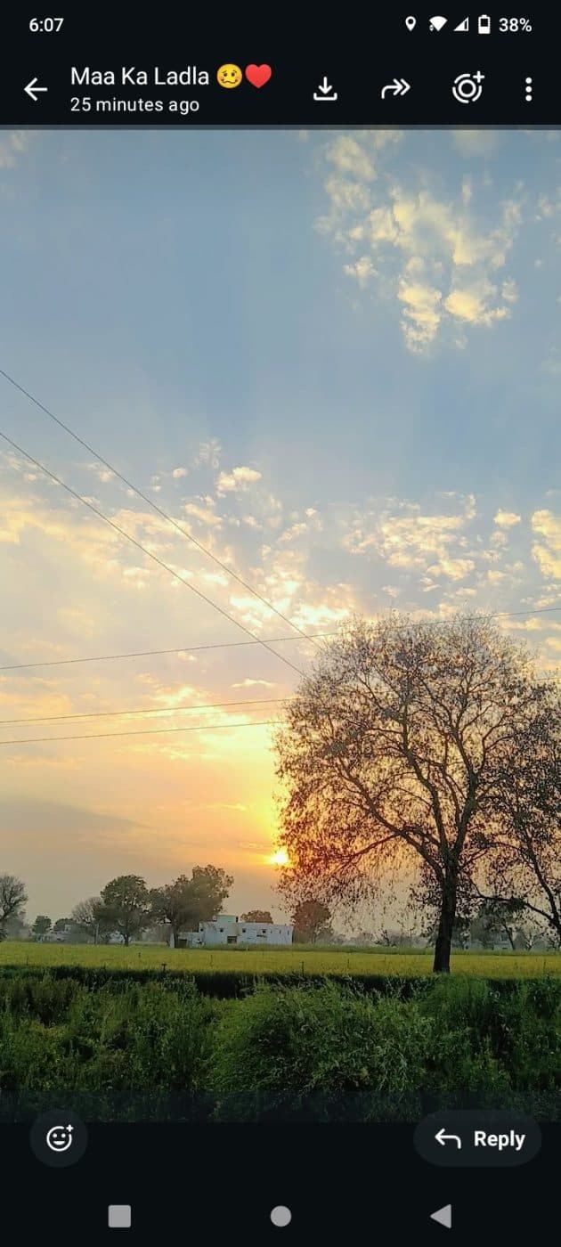 Kalpna Dhindhwal